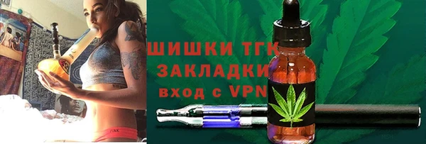 прущая мука Вяземский