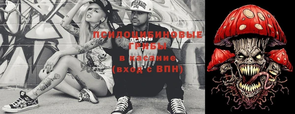 ECSTASY Осинники