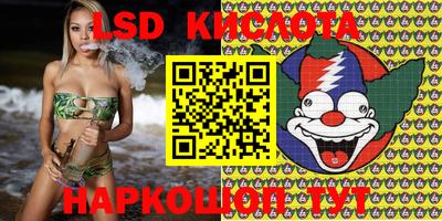 СК Кингисепп
