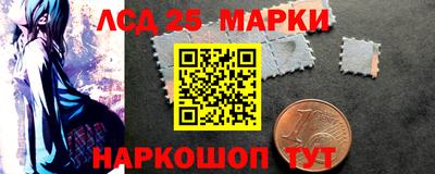 СК Кингисепп