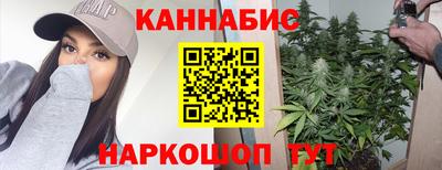 СК Кингисепп