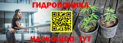 ГАЛЛЮЦИНОГЕННЫЕ ГРИБЫ Кинель