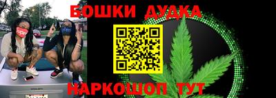 СК Кингисепп