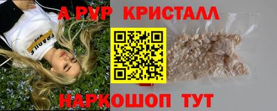 СК Кингисепп