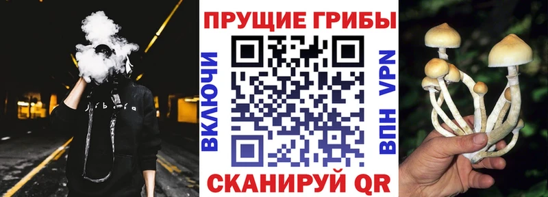 Галлюциногенные грибы MAGIC MUSHROOMS  купить   omg ONION  Искитим 