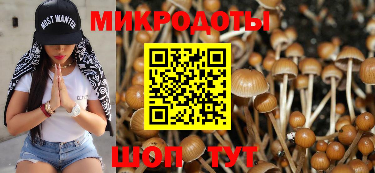 Галлюциногенные грибы прущие грибы Искитим