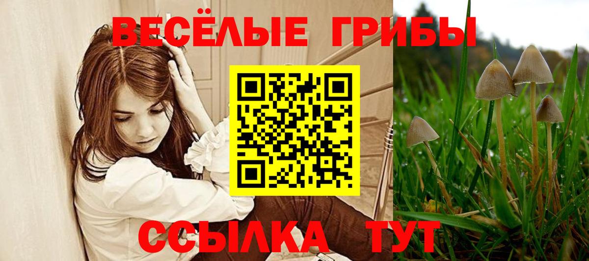 Псилоцибиновые грибы GOLDEN TEACHER  Искитим 