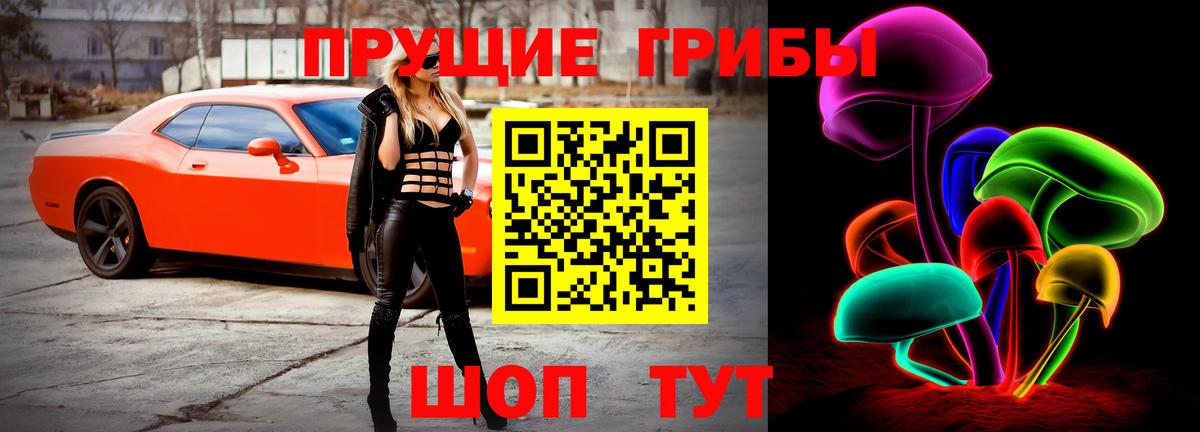 Псилоцибиновые грибы GOLDEN TEACHER  Вход с VPN  Искитим 